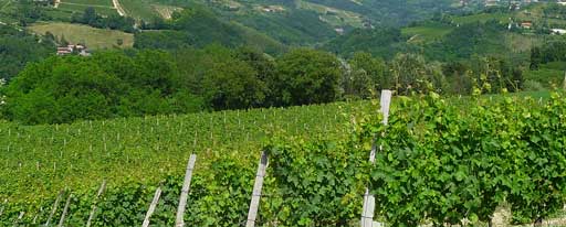 langhe-roccaverano-e-bormida-(1)